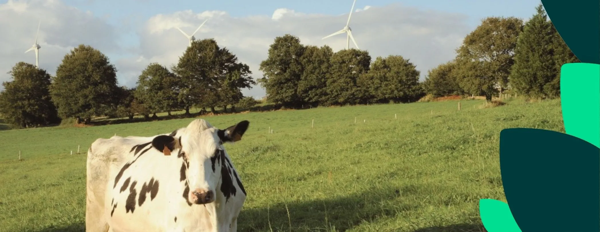 (S')Investir dans les énergies propres : cap sur la Bretagne