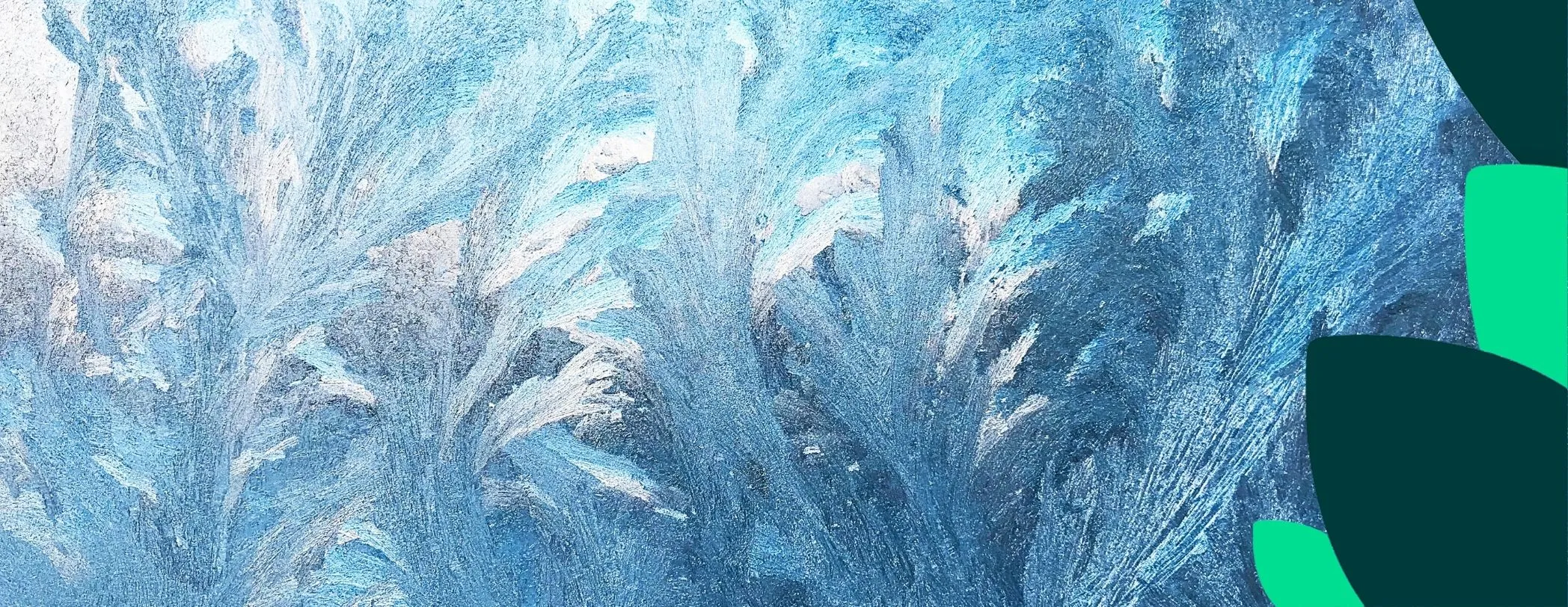 TOP 22 des écogestes de l’hiver