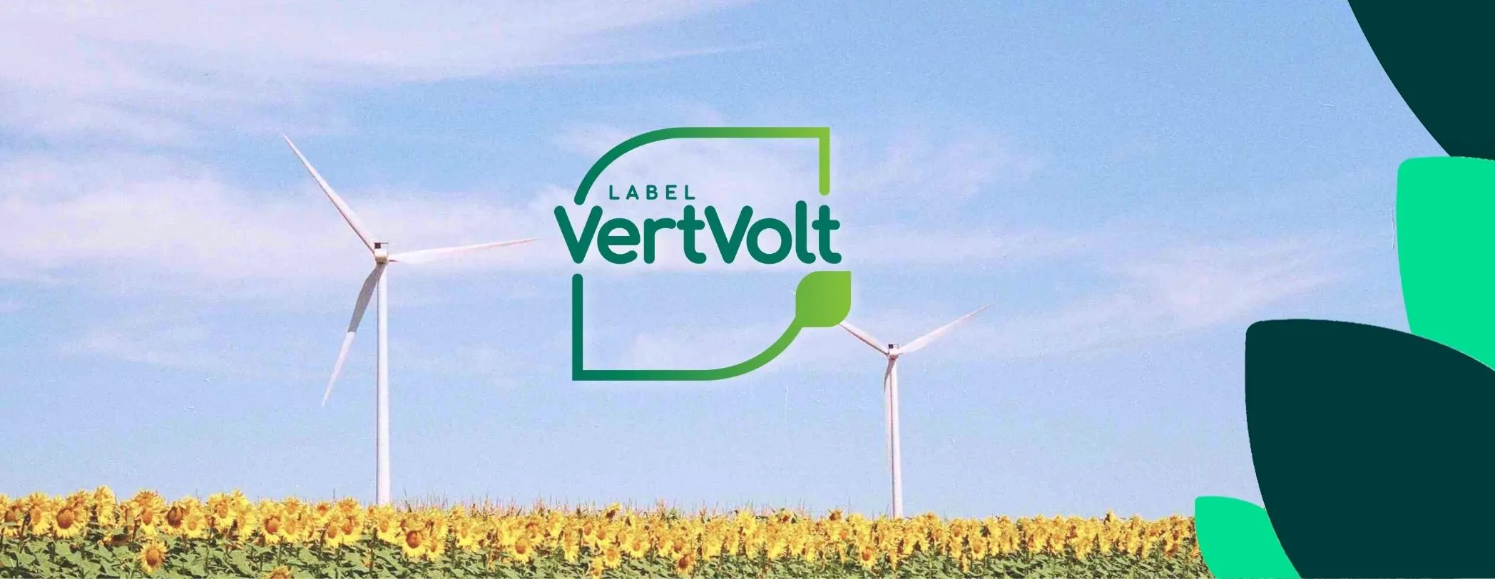 Label VertVolt : pour y voir plus vert dans les offres d’électricité 