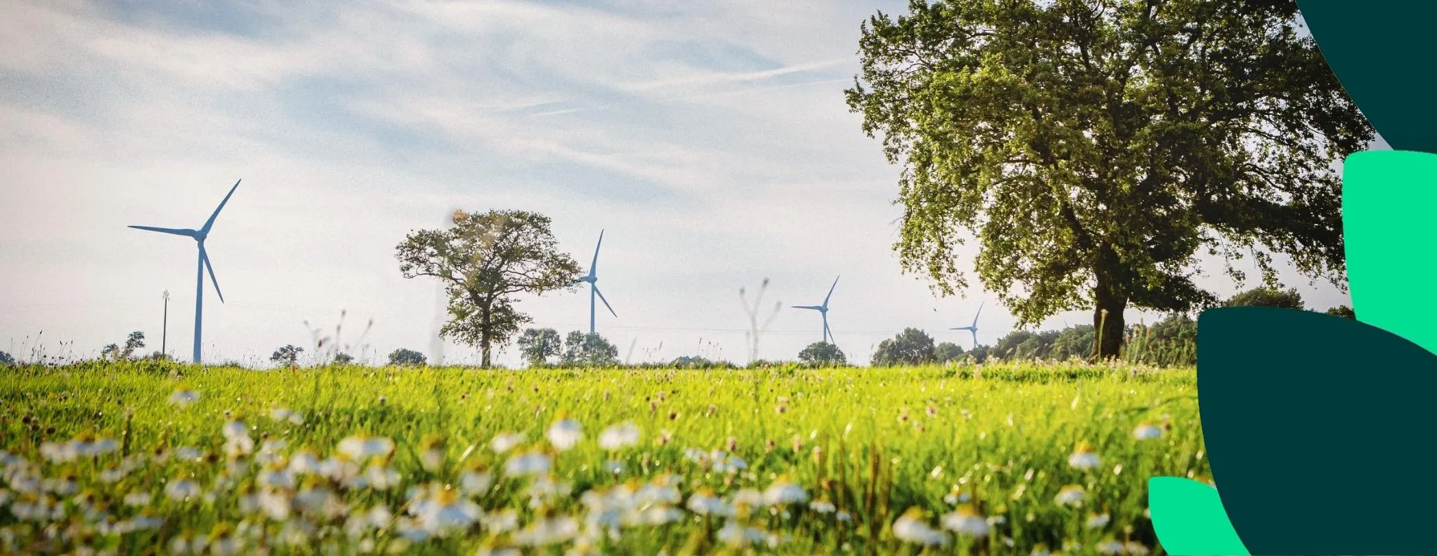 Parc éolien d’Erbray : maître du vent en Loire-Atlantique 