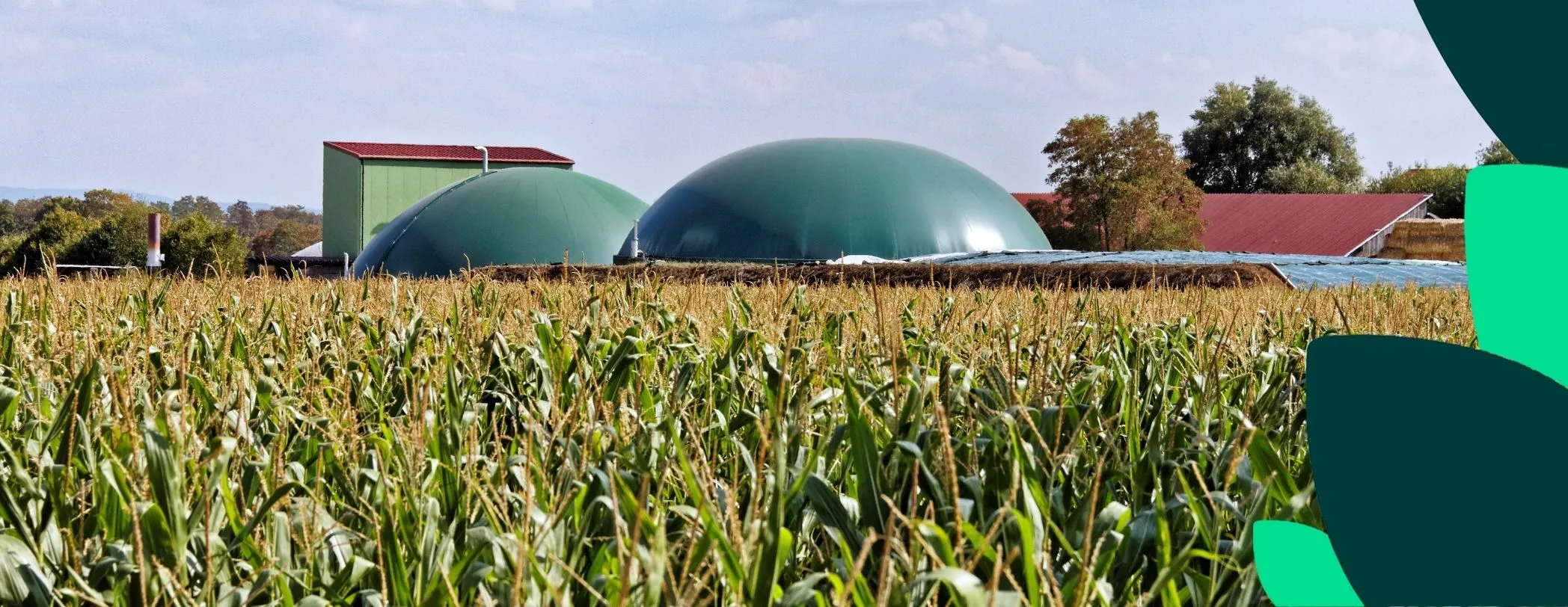 Qu’est-ce qu’une centrale biomasse ?