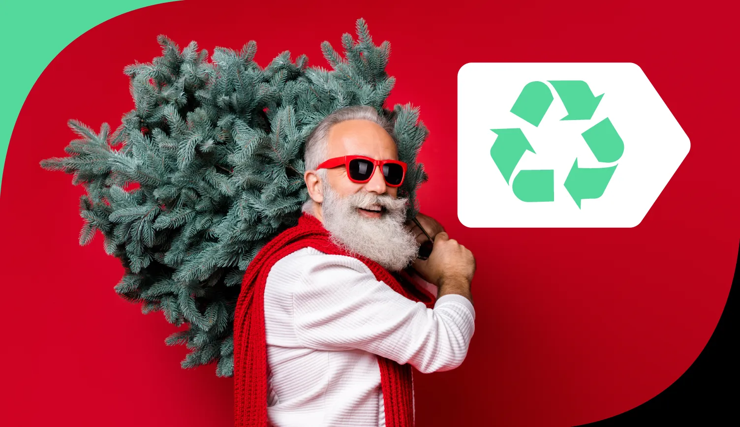 Recyclage sapin : un écogeste à adopter après Noël  