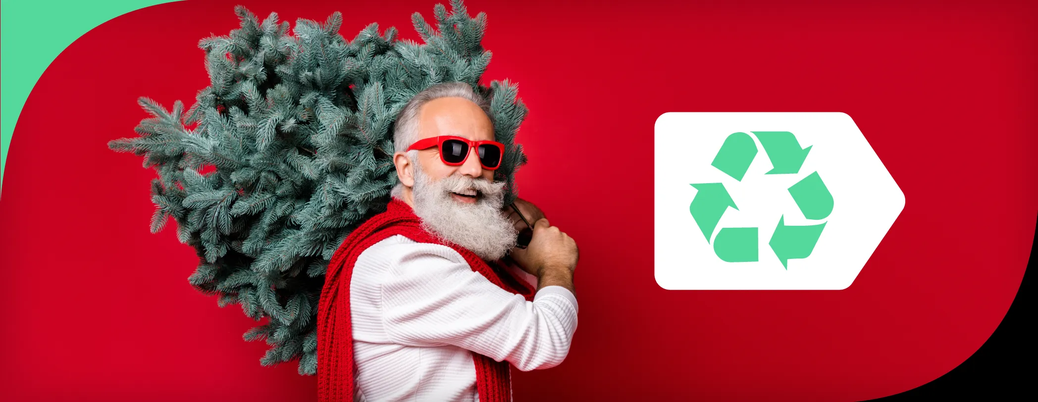 Recyclage sapin : un écogeste à adopter après Noël  