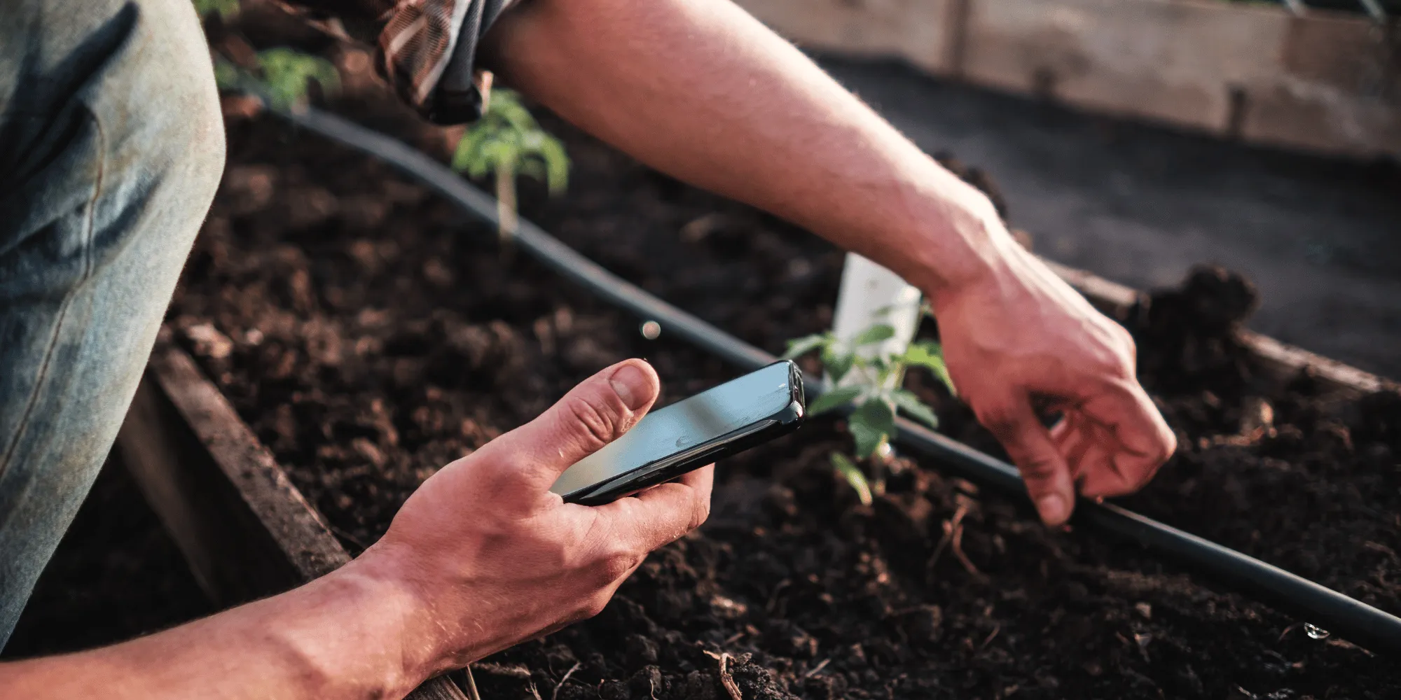 Jardin connecté : 5 idées pour faire des économies