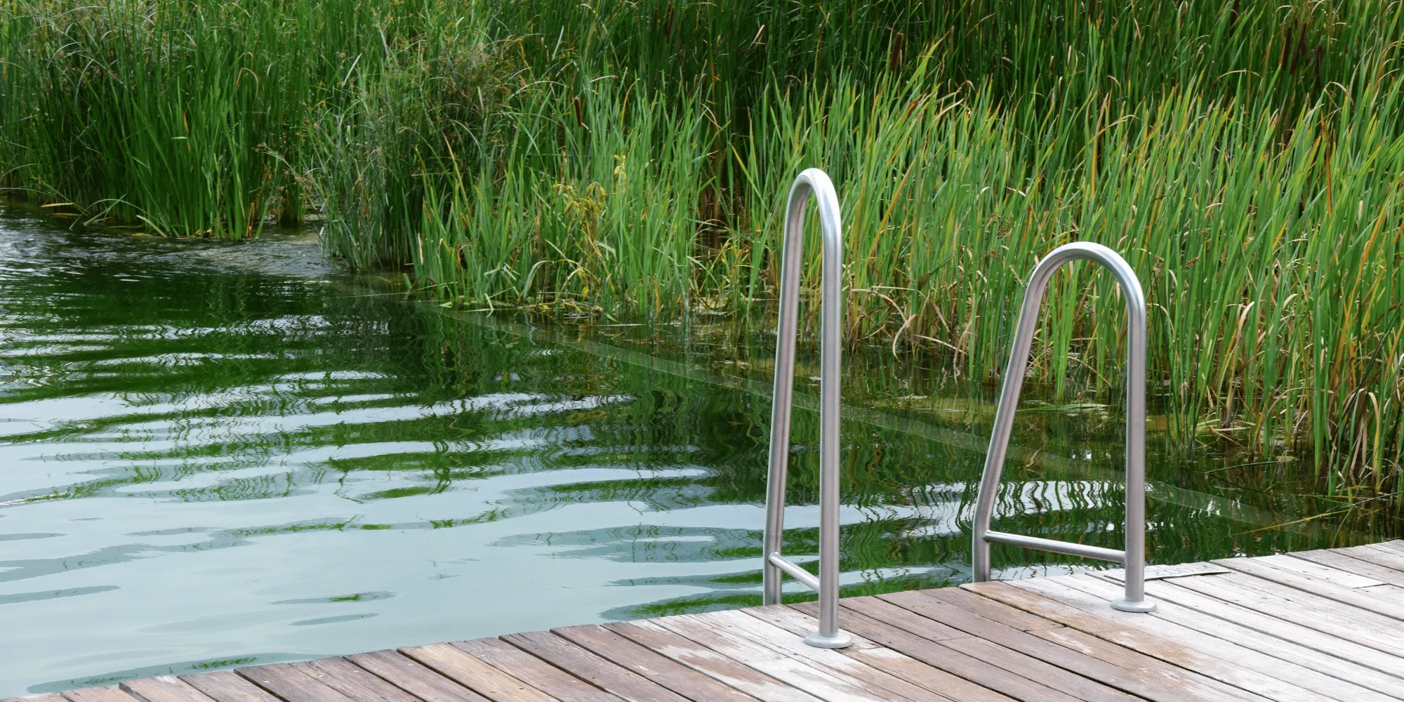 Piscine naturelle ecologique : les 5 avantages !
