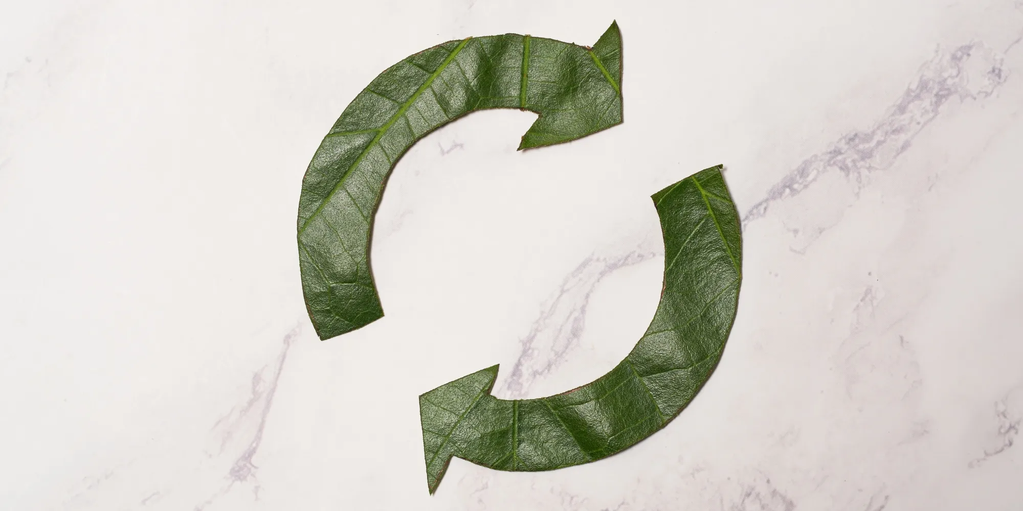 Consommation responsable : définition et exemples
