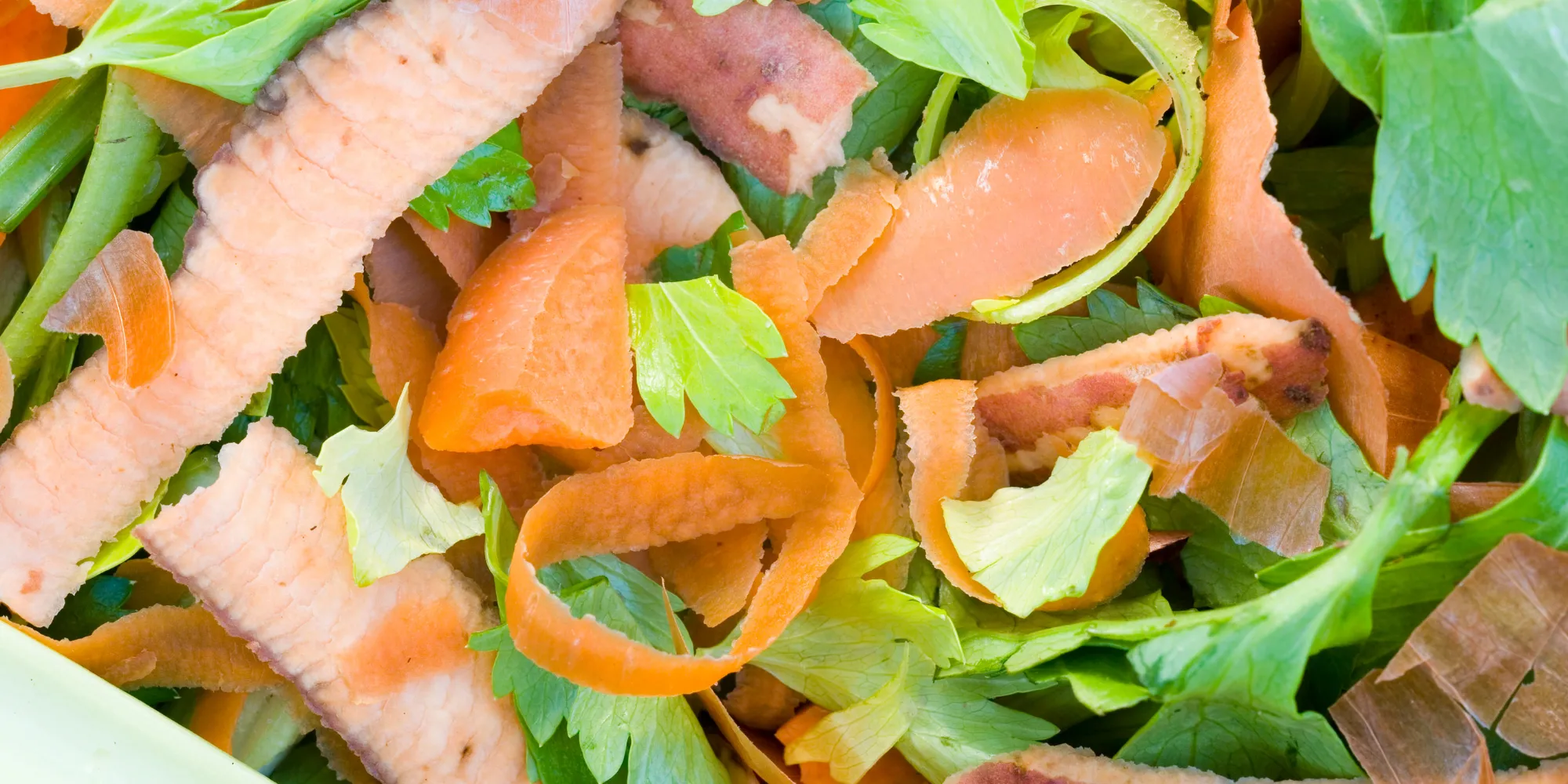 Comment faire du compost en appartement : le guide complet