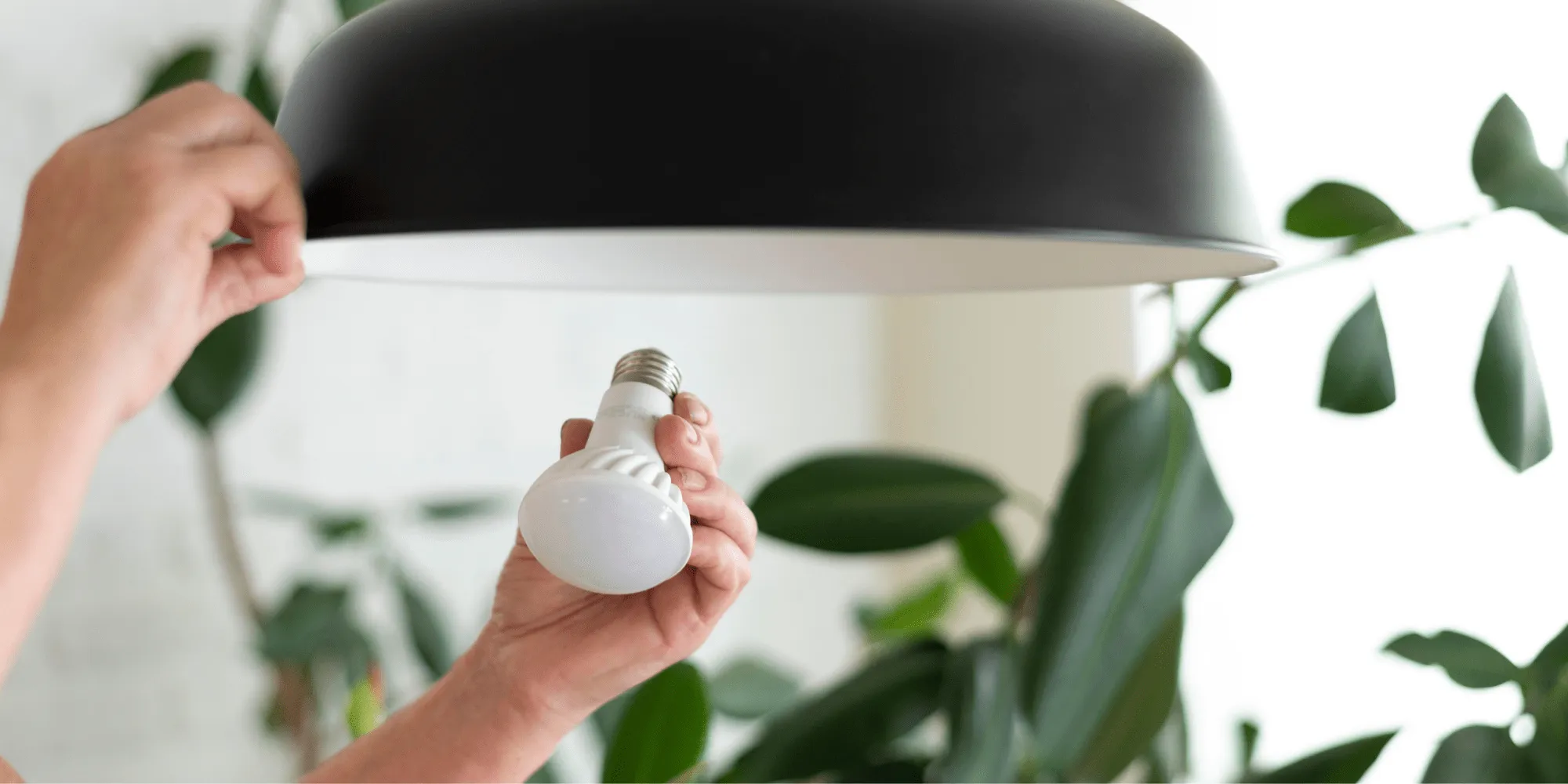 Consommation ampoule : Choisir la bonne ampoule pour réduire vos dépenses énergétiques