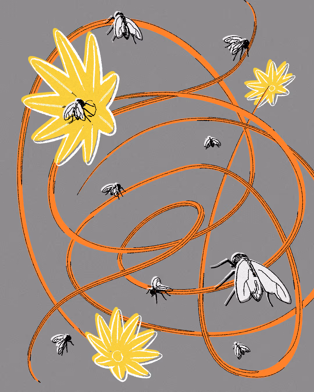 An illustration by Jasmine Nackash