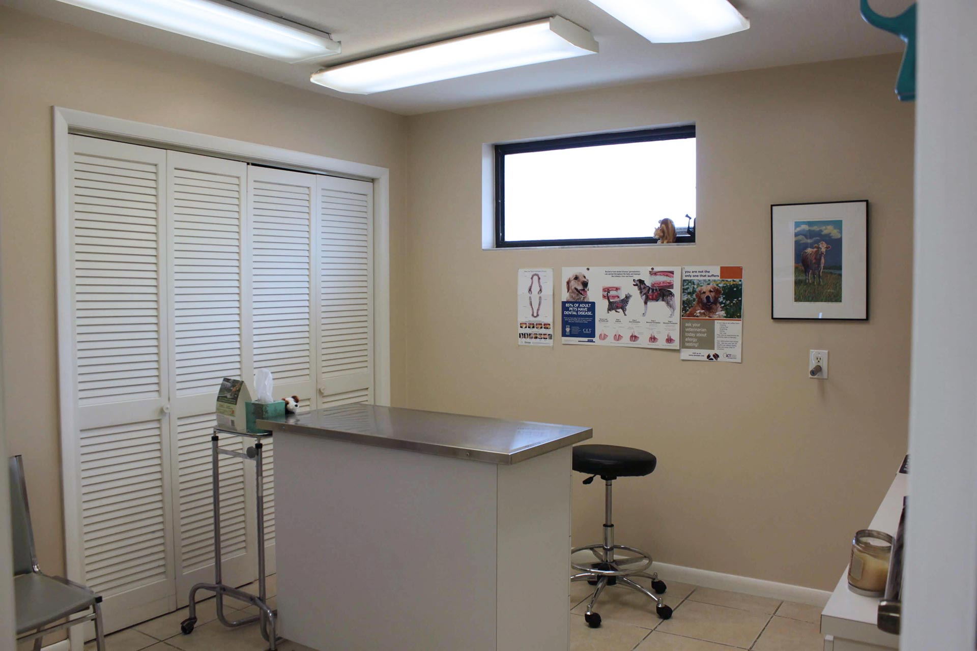 Ocean Animal Hospital Office