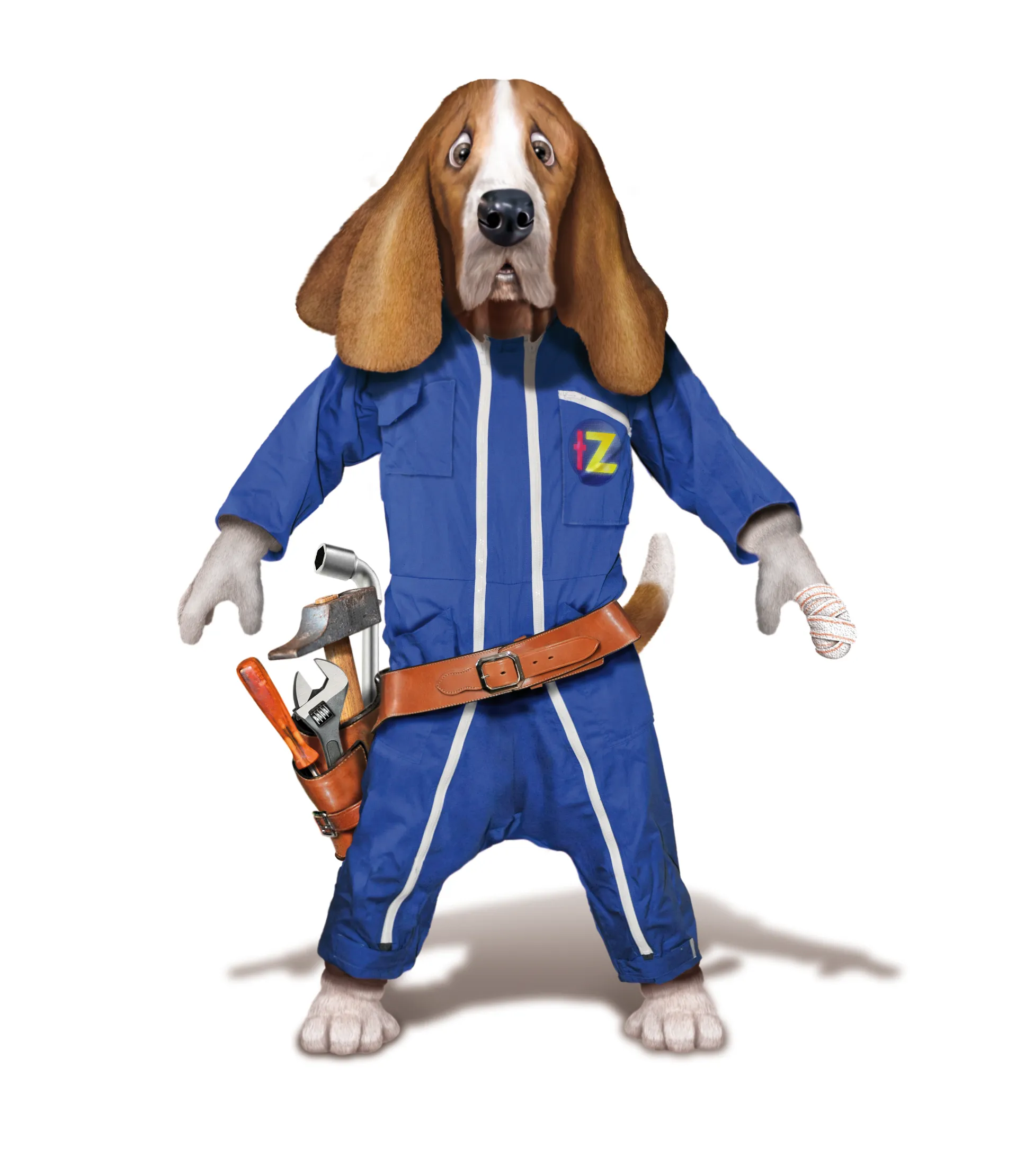 Chien Télé Z bricoleur