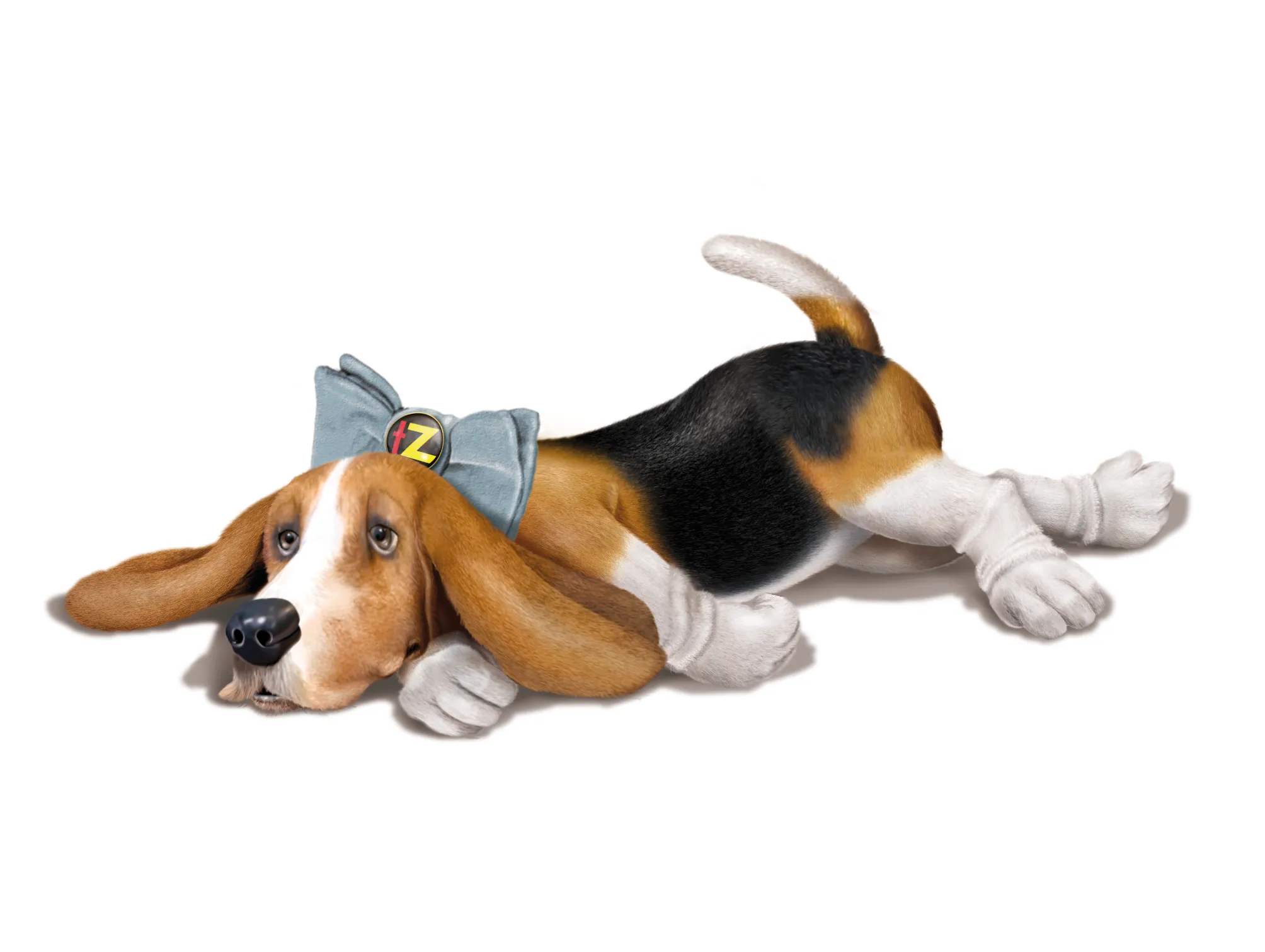 Chien Télé Z allongé