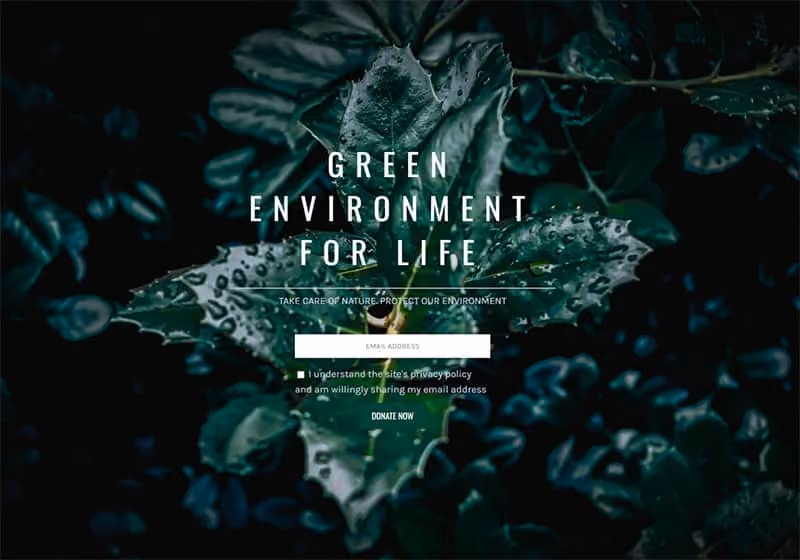 coming soon landing page live example