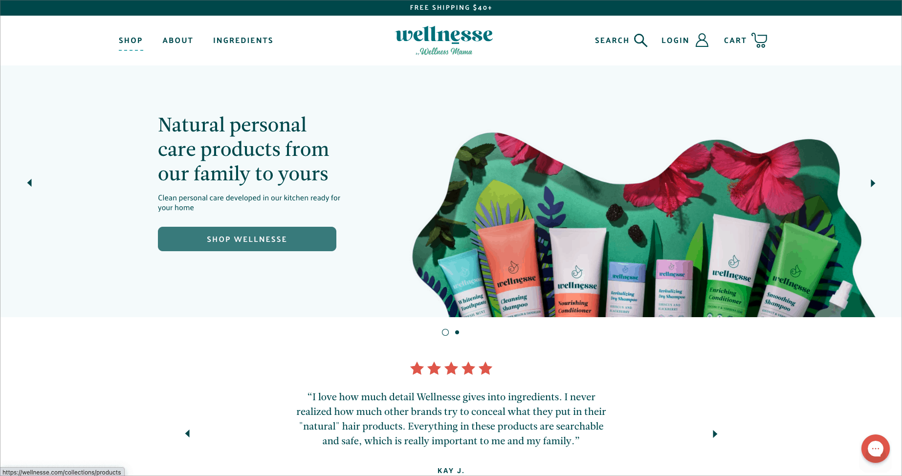 Wellnesse landing page