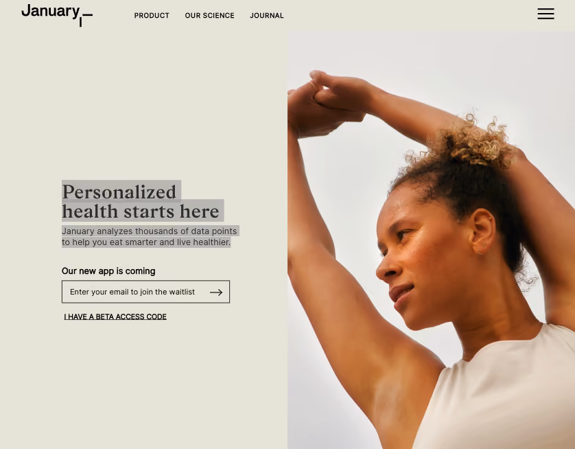 January AI homepage