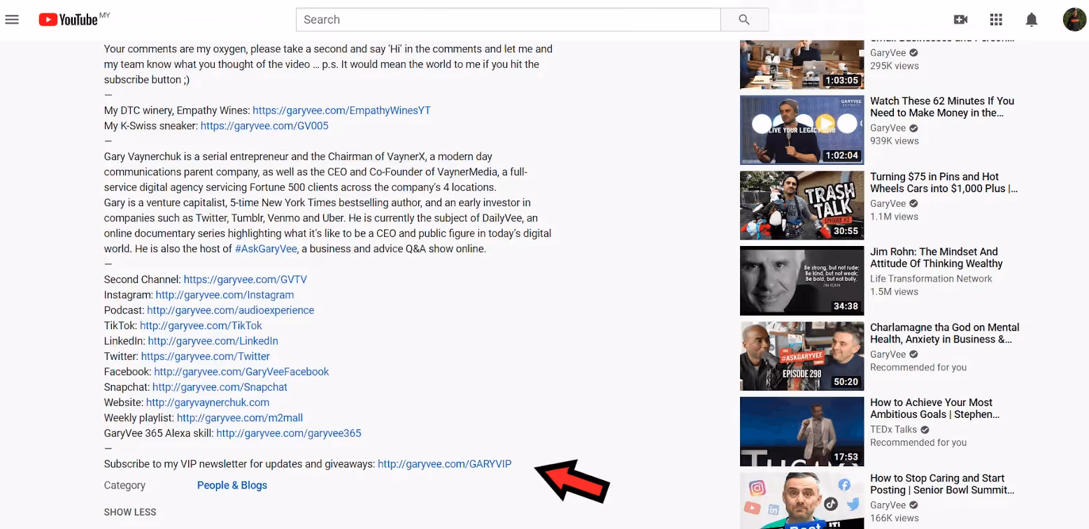 How To Build An Email List: Screenshot of Gary Vaynerchuk