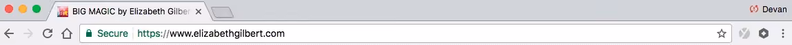 elizabethgilbert url