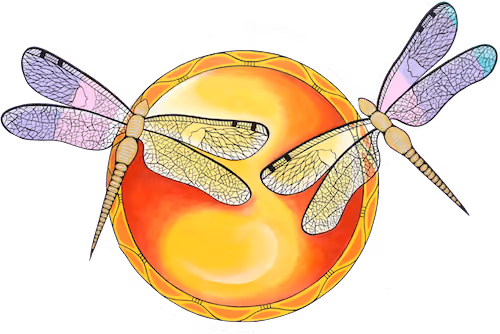 Mi'kmaq Fine Art of Dragon Fly