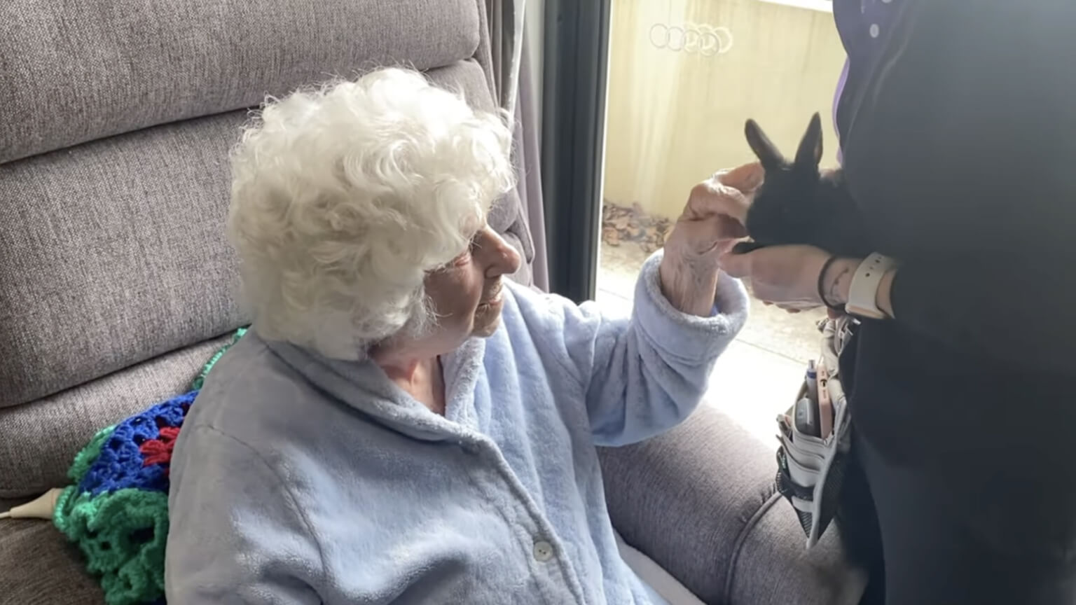 Petting Zoo Experience Delivery