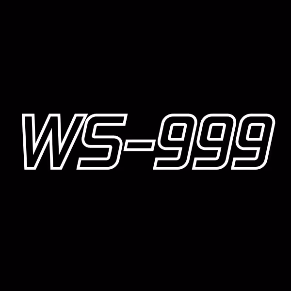 ตุ้มน้ำหนักชุด WS-999