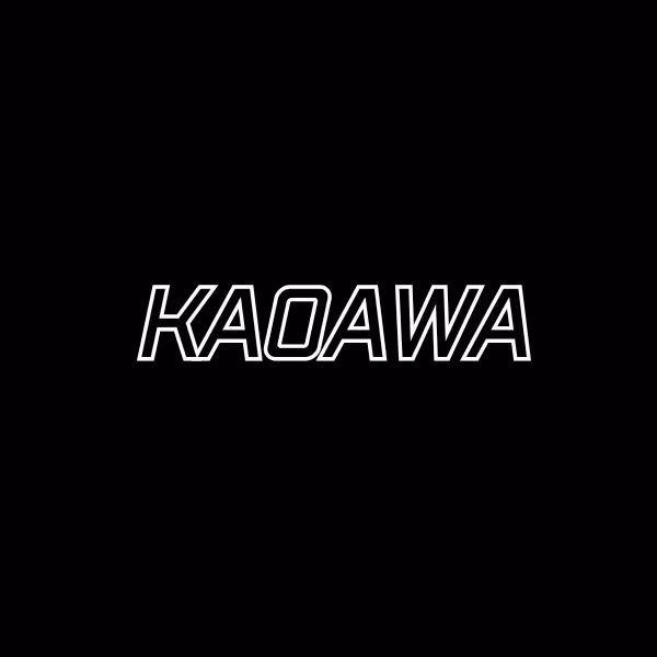 ชุดซ่อมคาร์บูเรเตอร์ KAOAWA