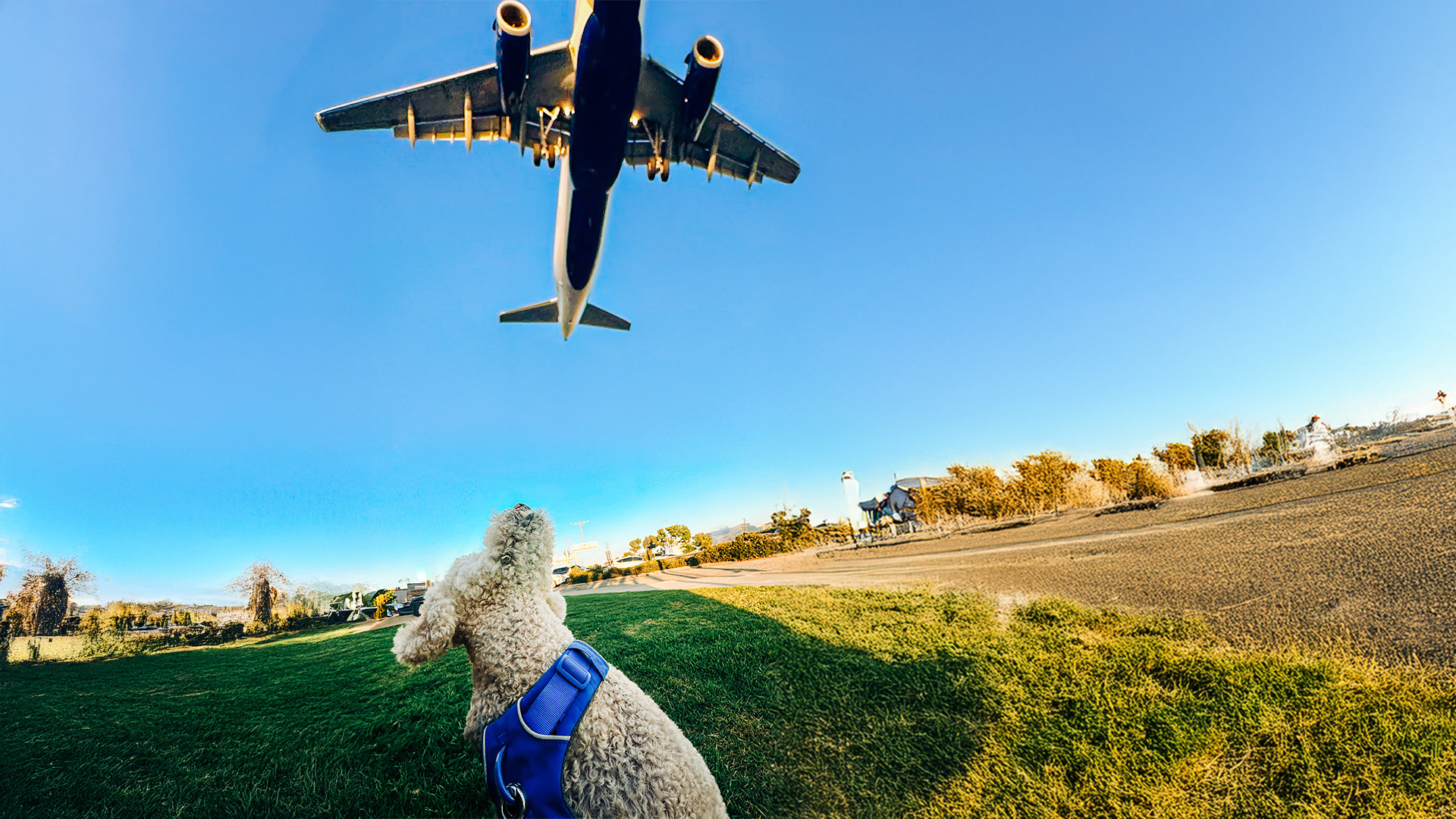 Kramer watching a plane fly overhead