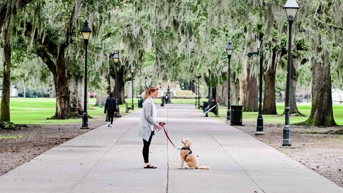 Sara walking Kramer down an oak-lined path