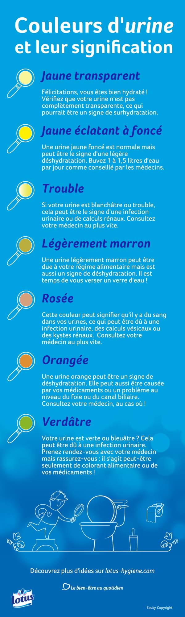 couleurs d'urine et leur signification