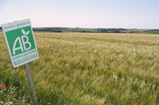 agriculture biologique