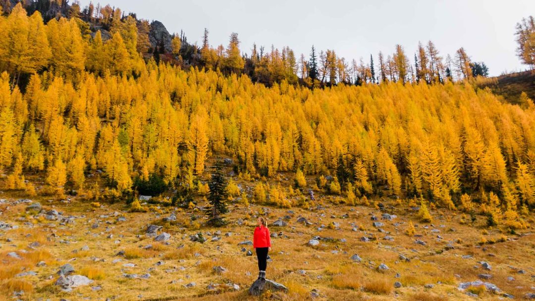 October P 14 Best National Parks to Visit in October | Chris & Sara