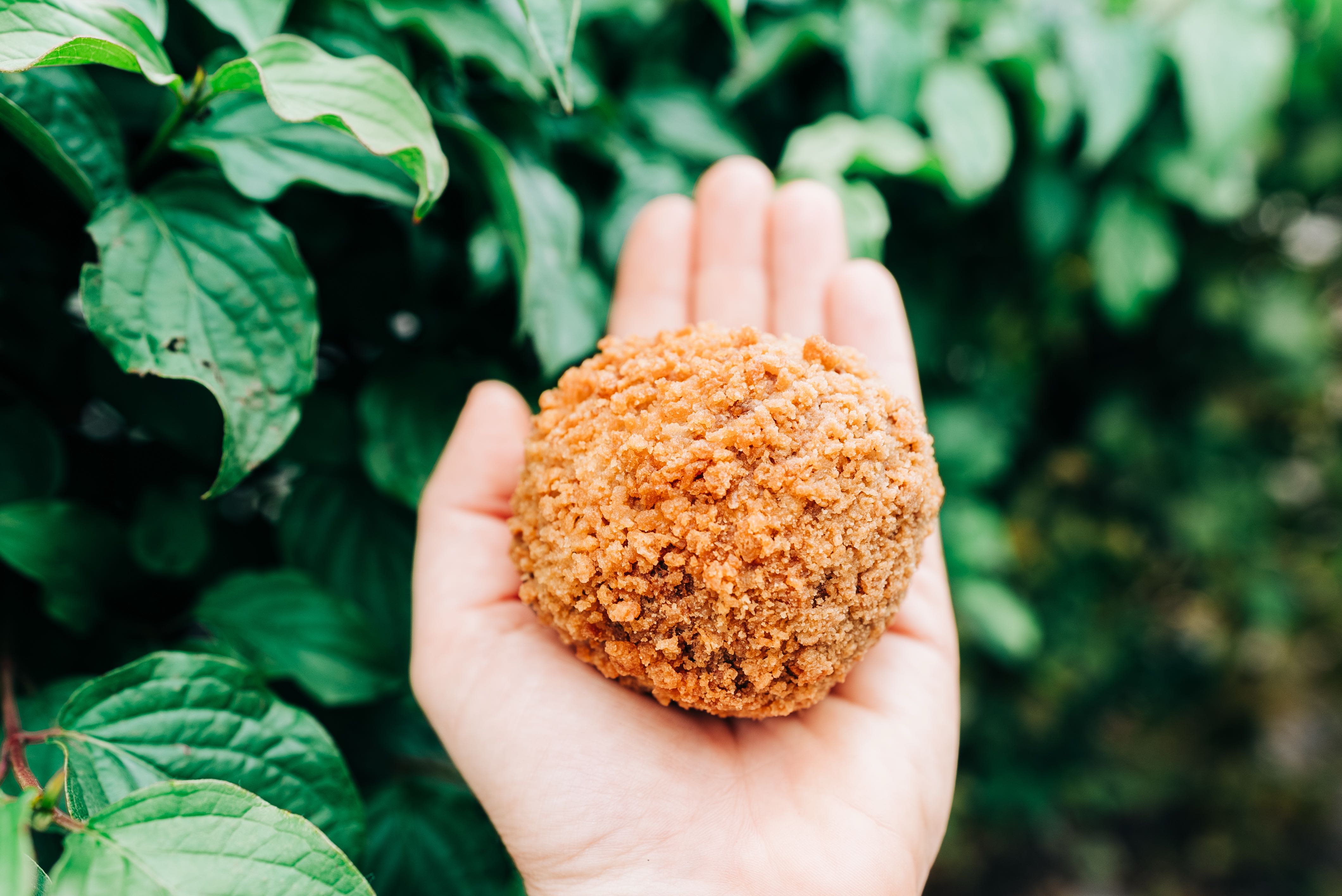 Scotch Egg on the outside
