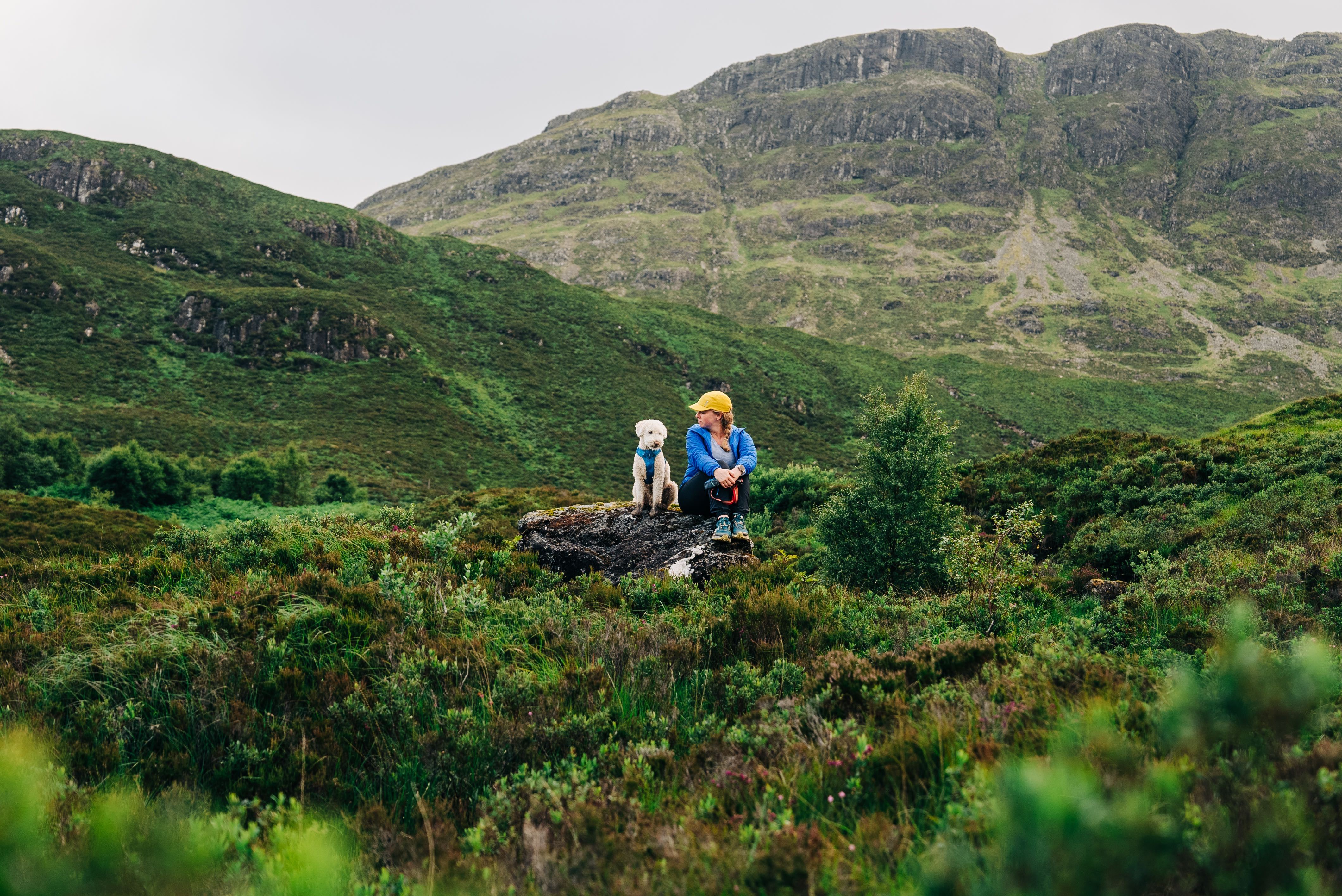 Girl a dog sitting on a rock taking a break while hiking in The Cuillin Hills