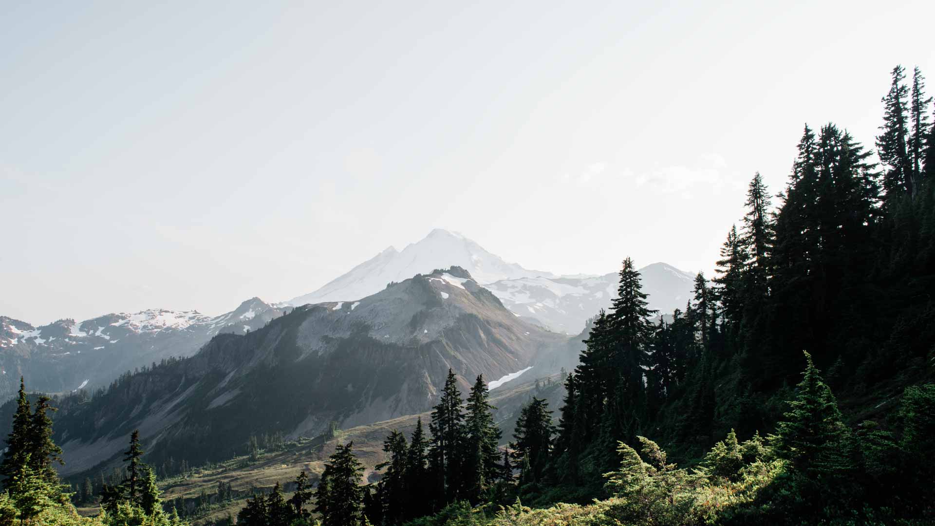 Washington