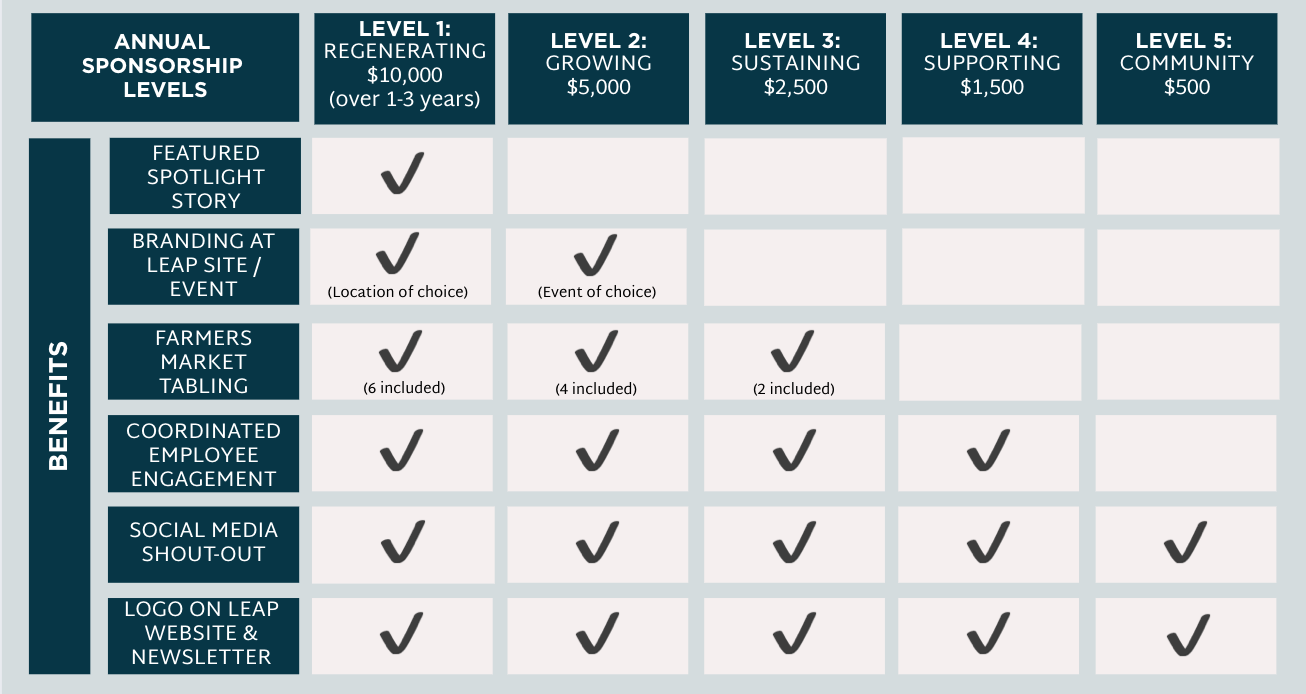 Sponsorship levels table comparing benefits with different levels