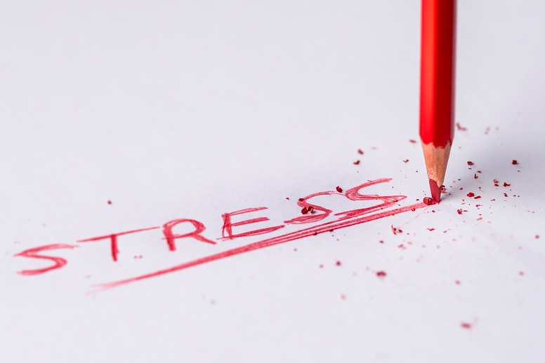 Holiday Stress Busters This Season