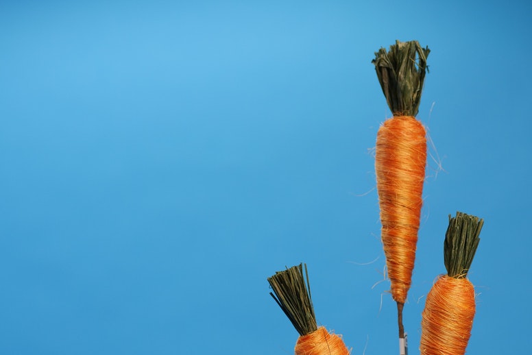 Does the Carrot or Stick Motivate You