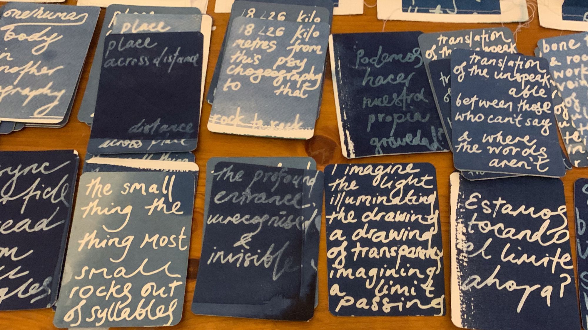 Cyanotype Workshop | Taller de Cianotipia