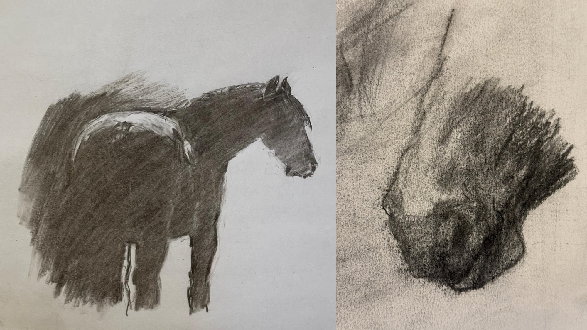 Classical Drawing workshop with Robyn Bardas (MFA)