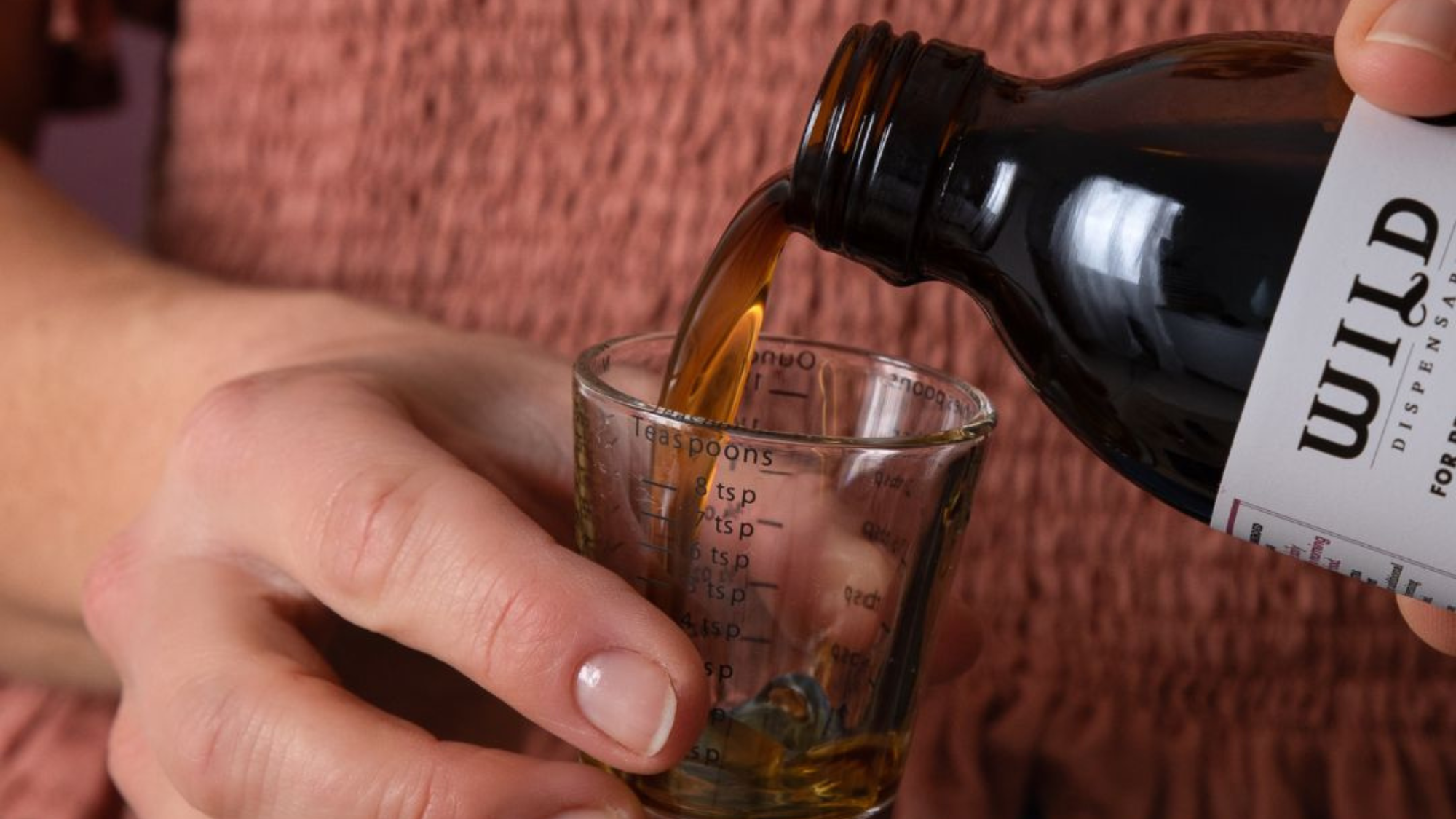 Winter Herbal Medicine 101: From Backyard to Bottle