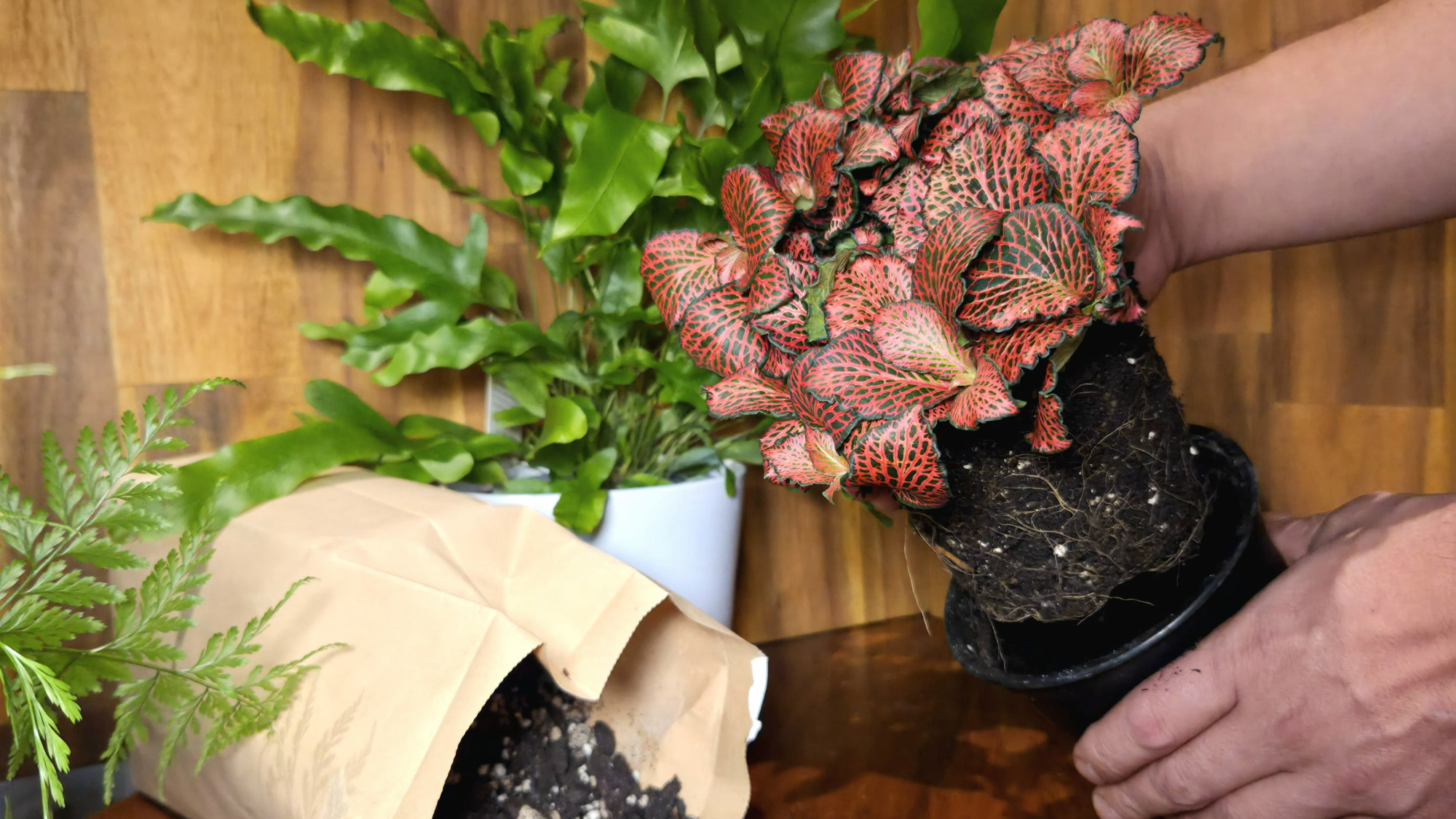 Saturday Arts Social: A Potting Workshop