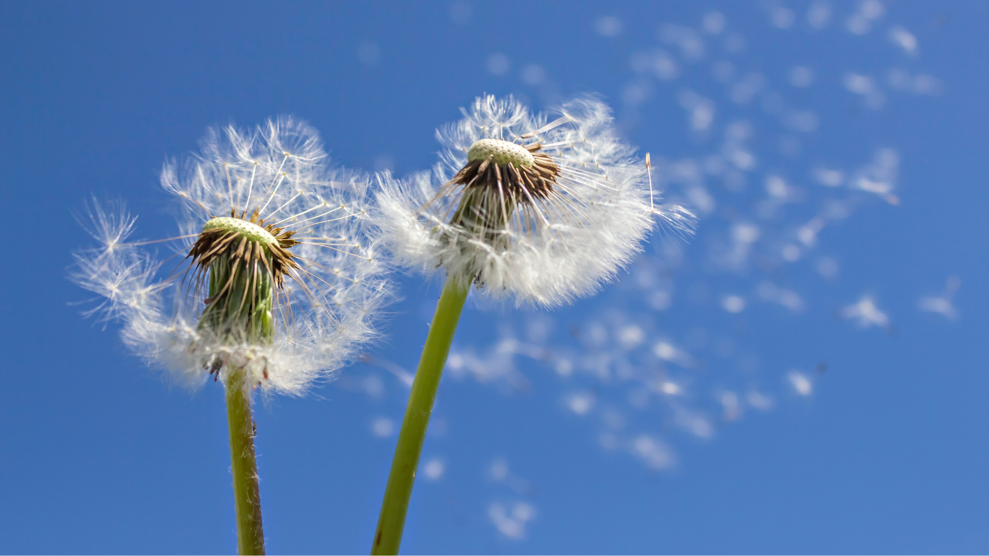 Saturday Arts Social: Connect & Thrive Wellbeing Workshop