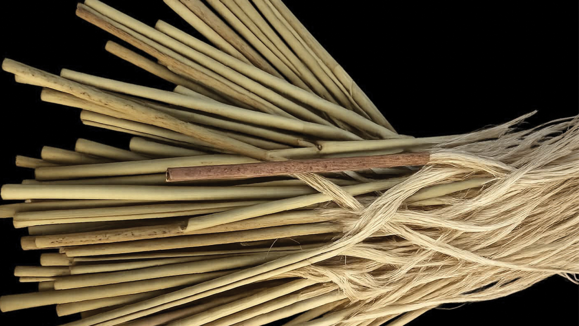 Whenu ki te Whenua | The Strands that Connect Us to the Land