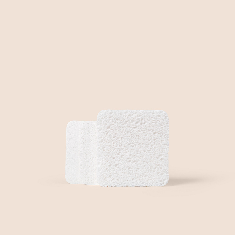 Eco-friendly dish sponge