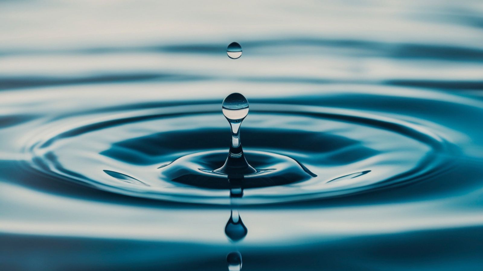 How Water Quality and Home Maintenance Impact Sustainable Living