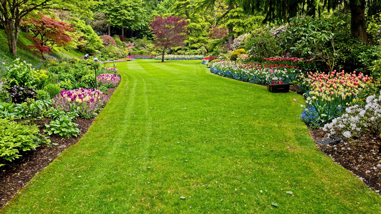 How Much Mulch Do You Need? A Low-Waste Guide for Garden Beds and Borders