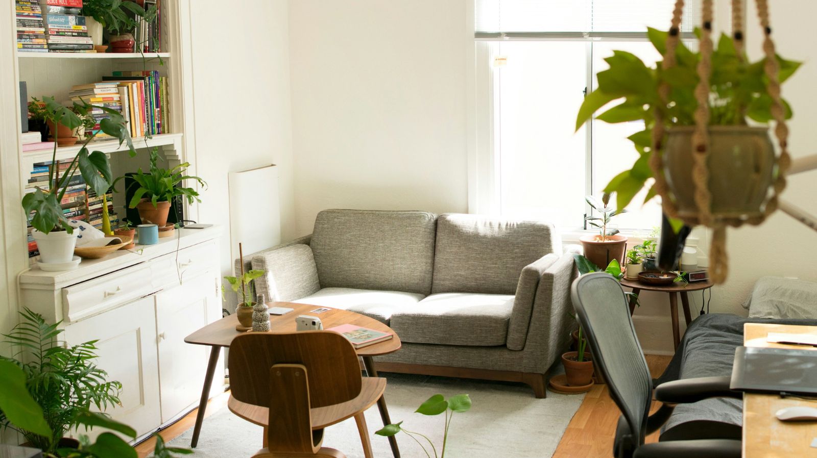 ou Need an Air Purifier? Indoor Air Quality Signs