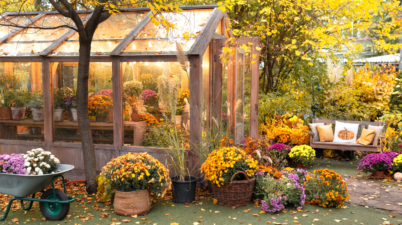 Why Home Greenhouses Are Gaining Ground With Gardeners