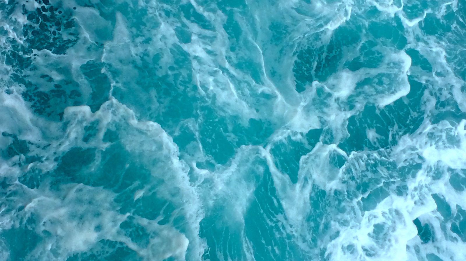 Inside the Modern Bluefin Tuna Supply Chain: Farming, Traceability & Distribution
