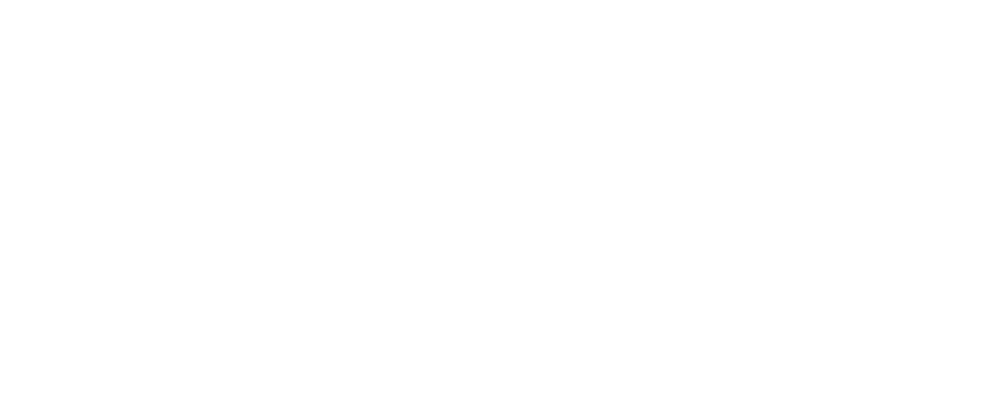 Capital Orthopaedic Logo