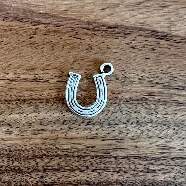 horseshoe charm